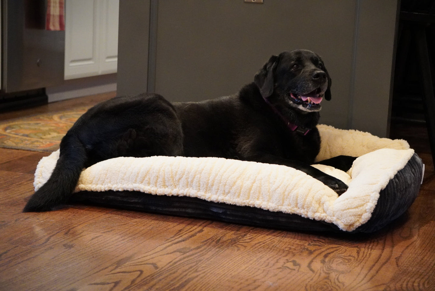 Scout Perfect Bolster Bed for Daily Comfort and Relaxation main product image for dogs and cats