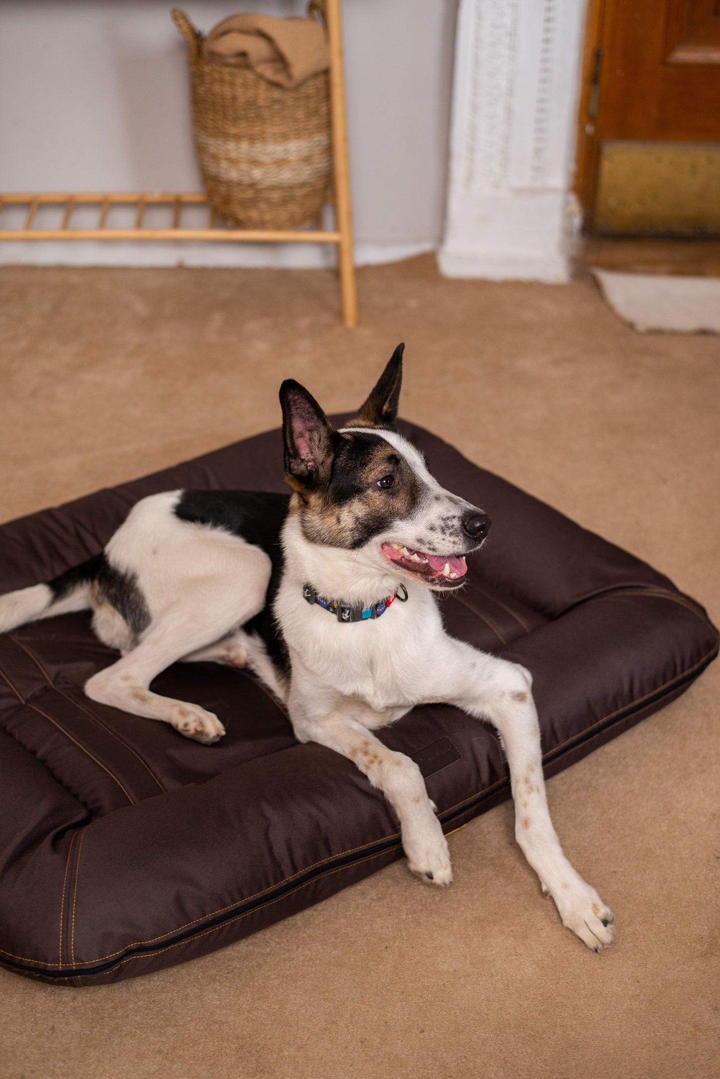 Luxury Dog Bed Waterproof Lounger Brown for Comfort, Support - luxury dog bed view 5 for comfort and support