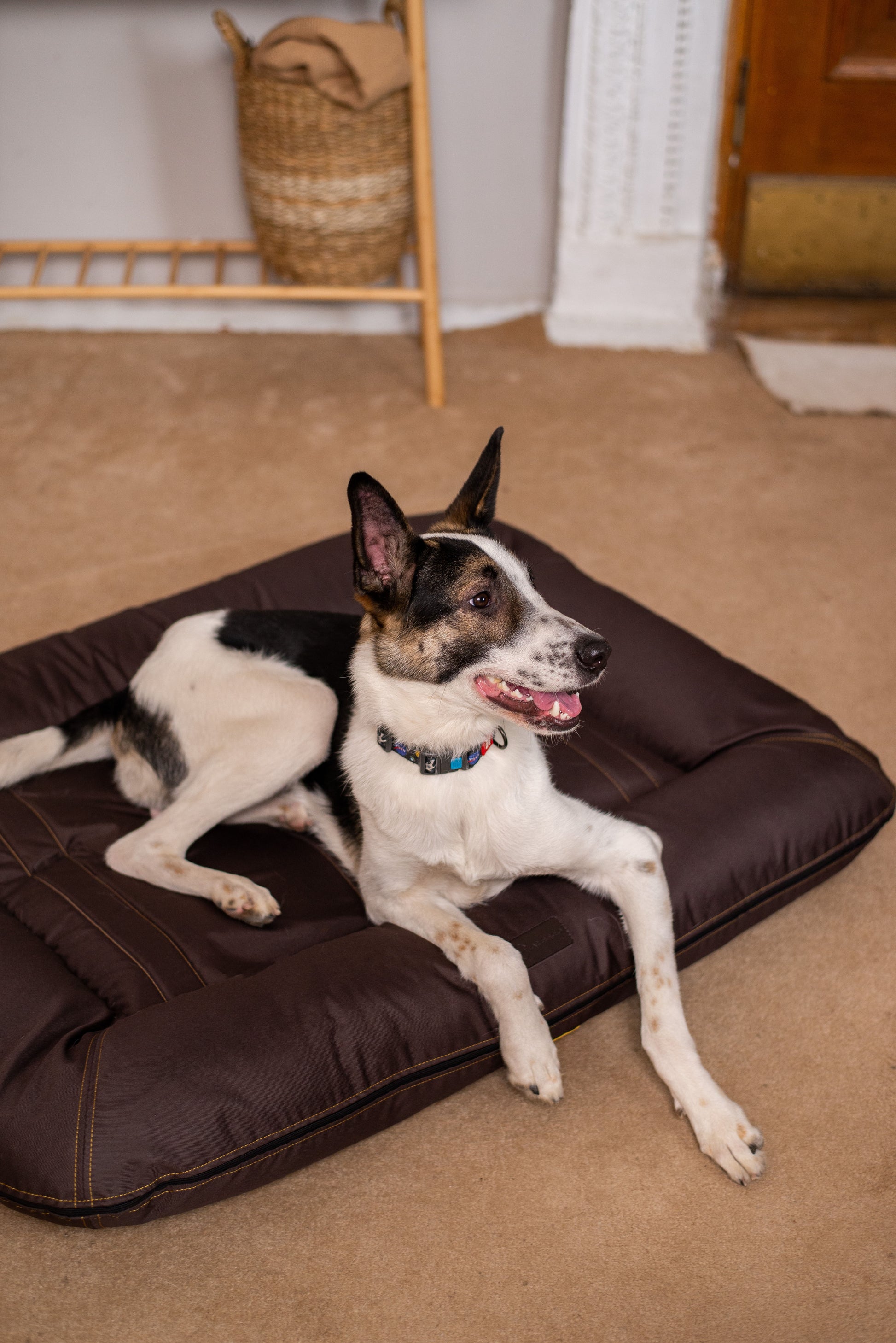 Luxury Dog Bed Waterproof Lounger Brown for Comfort, Support - luxury dog bed view 5 for comfort and support