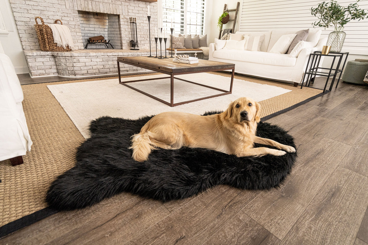 Memory Foam Dog Bed Faux Fur Midnight Black Orthopedic Comfo - gallery image 6