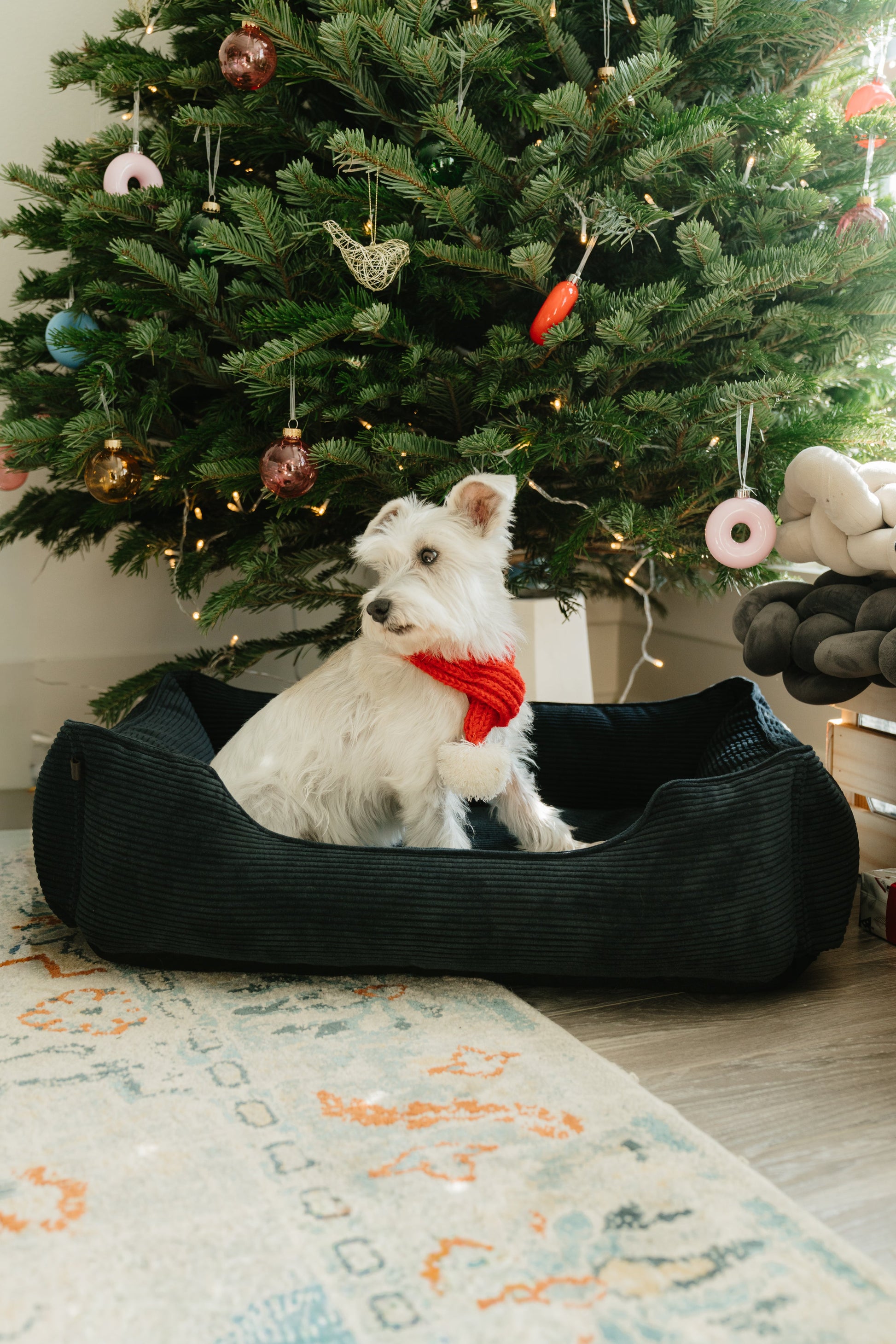 Luxury Dog Bed Fancy Corduroy Sleeper Graphite for Comfort - luxury dog bed view 4 for comfort and support