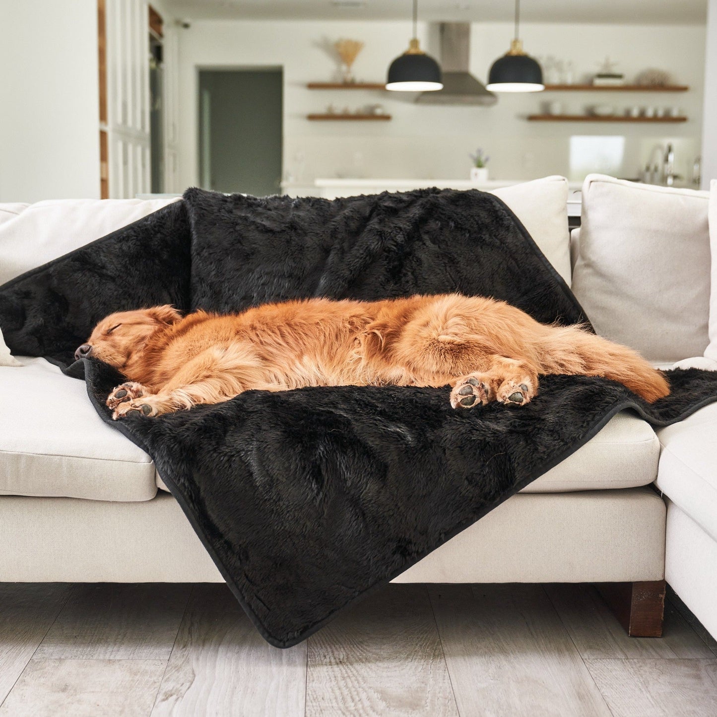 Waterproof Pet Blanket Soft Throw Midnight Black Washable - lifestyle view