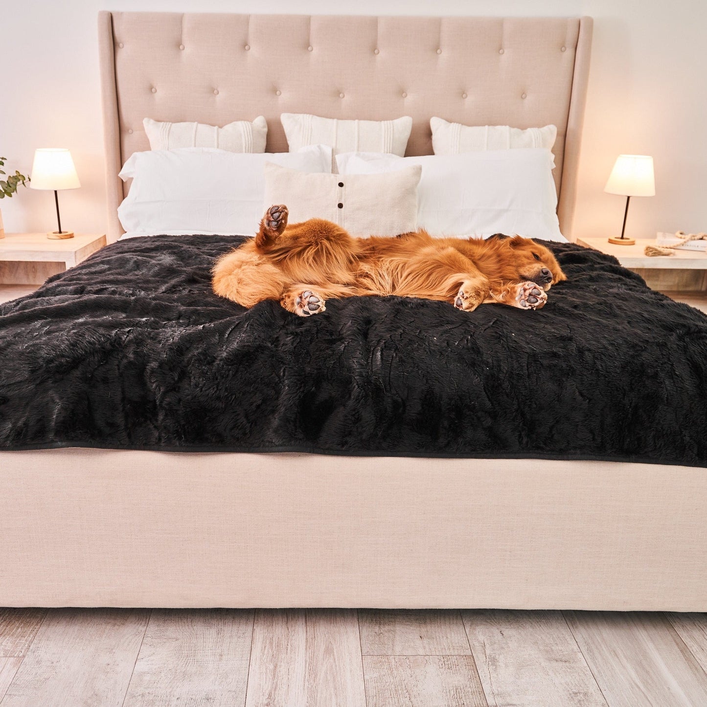 Waterproof Pet Blanket Soft Throw Midnight Black Washable - gallery image 11