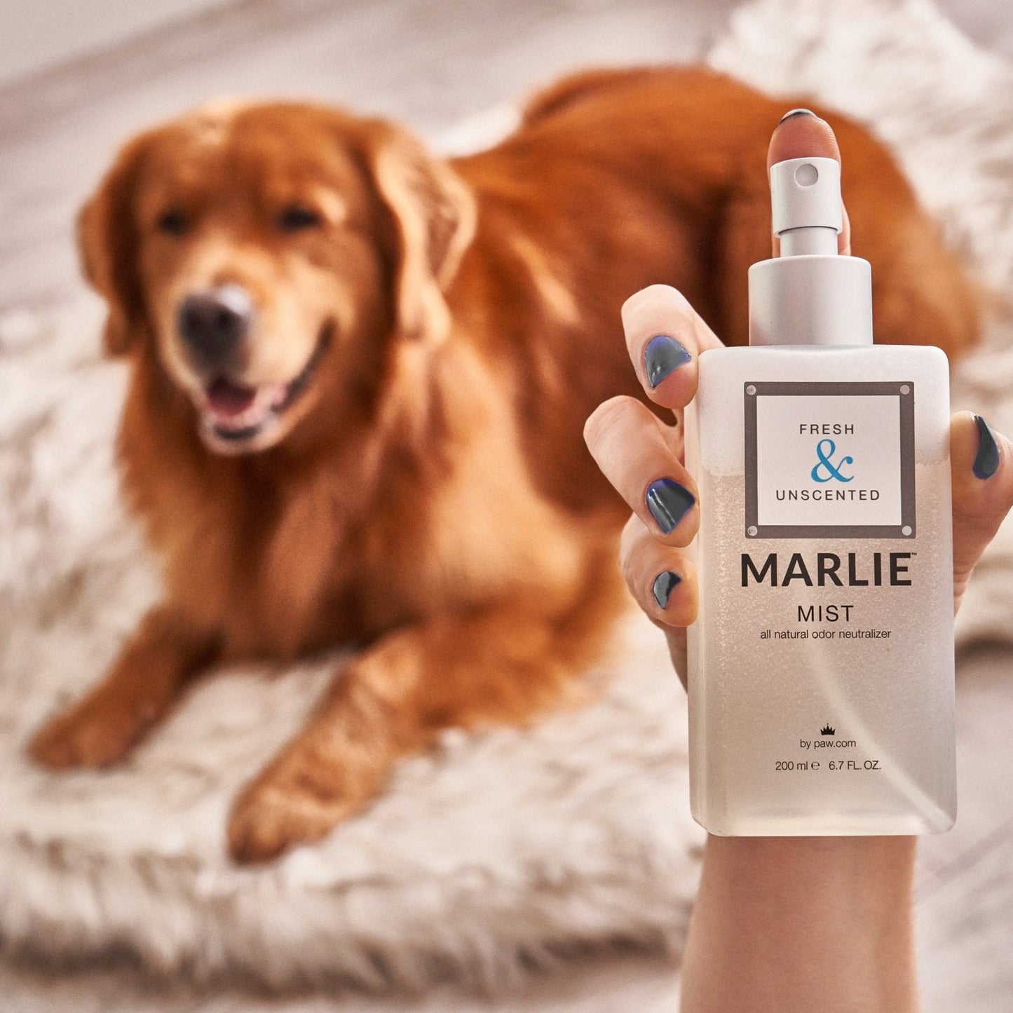 Marlie Mist Pet Odor Eliminator Spray with Essential Oils - gallery image 15