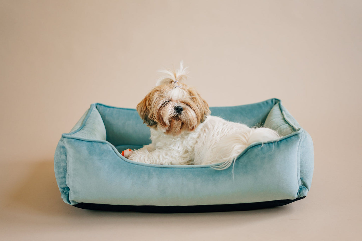 Vibrant Velvet Tiffany Sleeper for Royal Canine Comfort Now main product image for dogs and cats