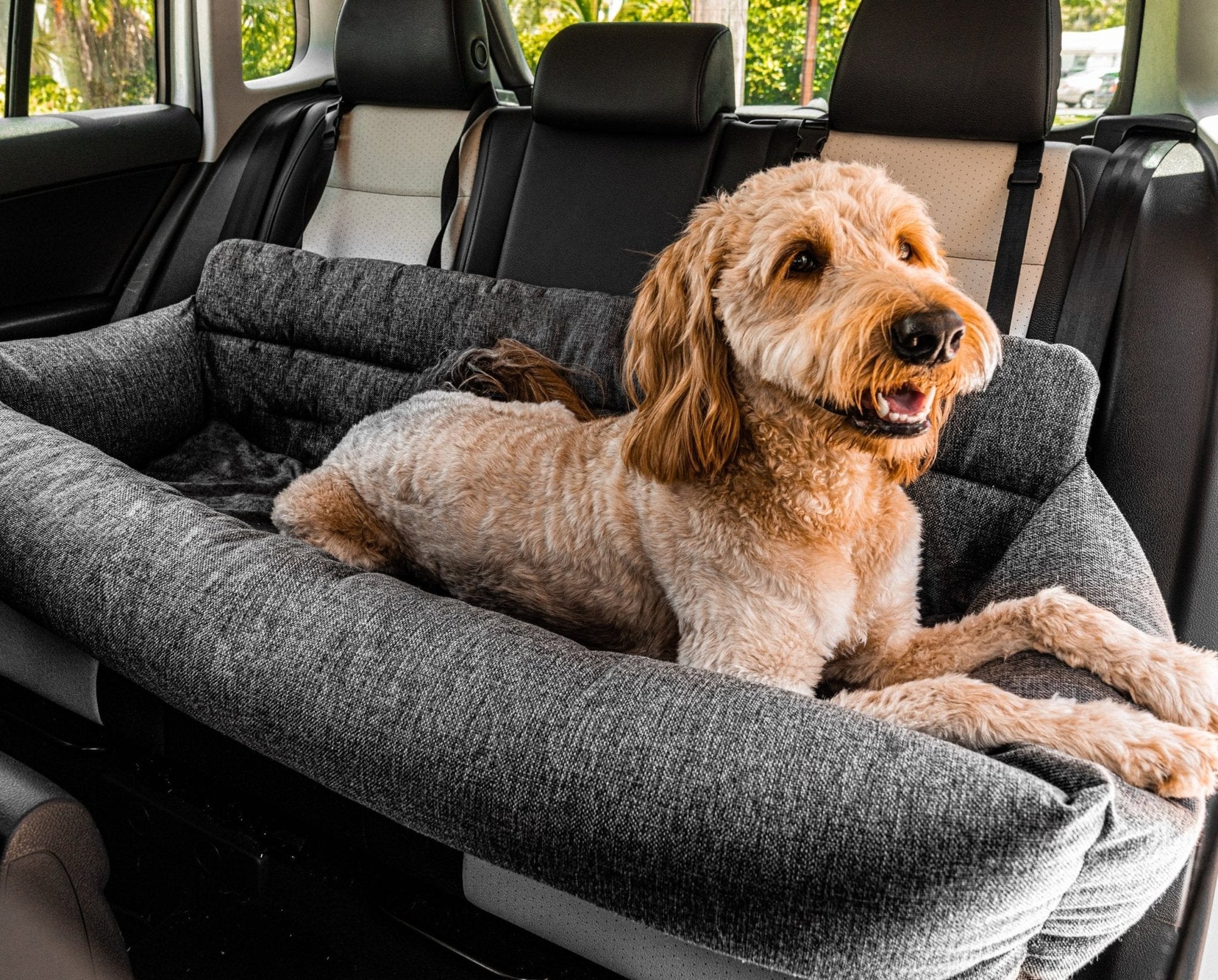 PupProtectorT Performance Tweed Memory Foam Dog Car Bed - lifestyle view