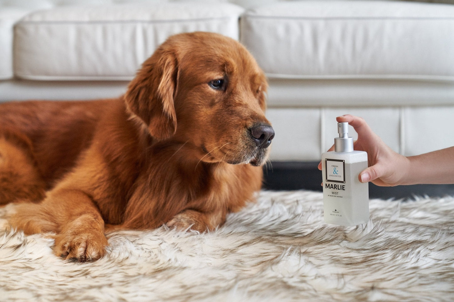 Marlie Mist Pet Odor Eliminator Spray with Essential Oils - gallery image 11