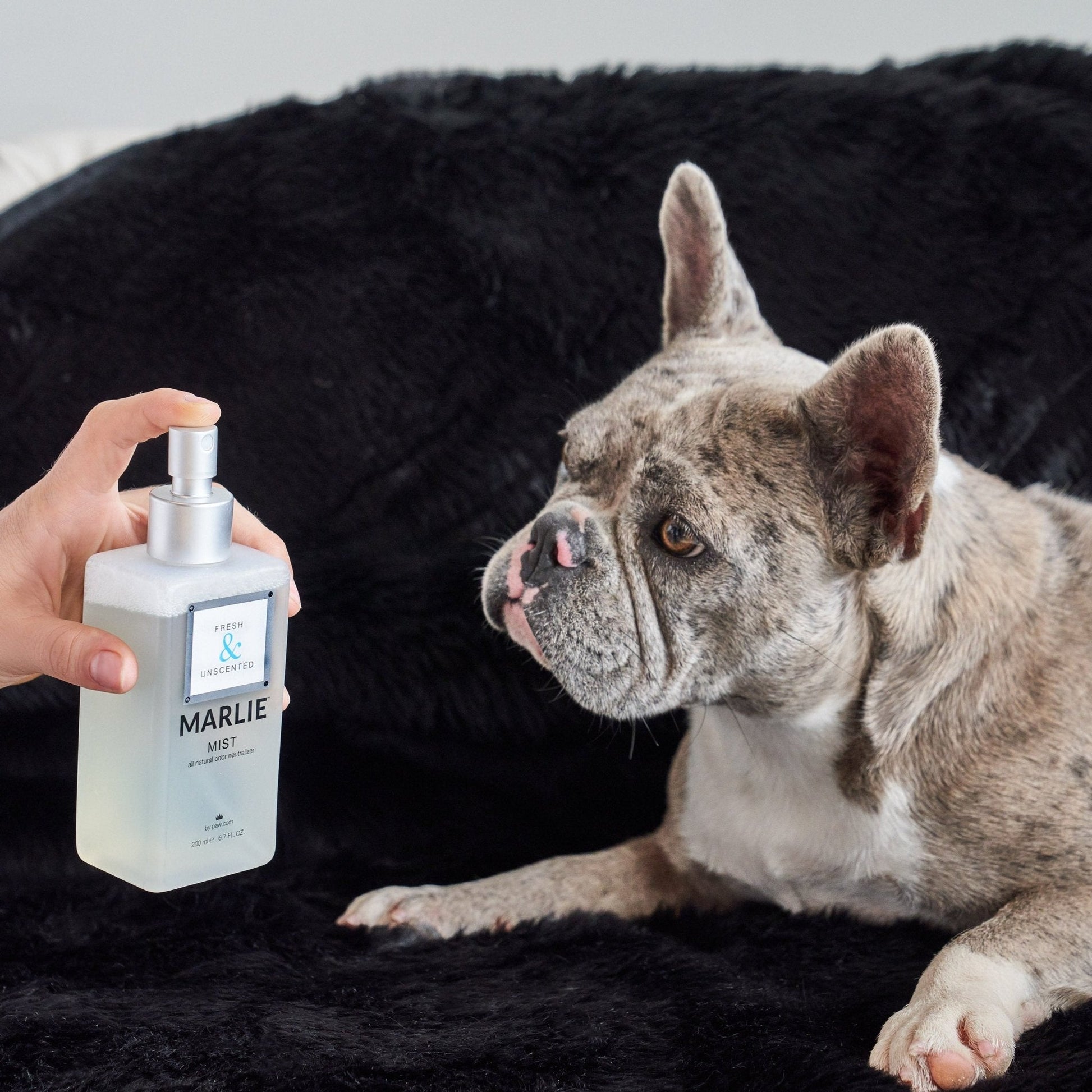 Marlie Mist Pet Odor Eliminator Spray with Essential Oils - gallery image 9