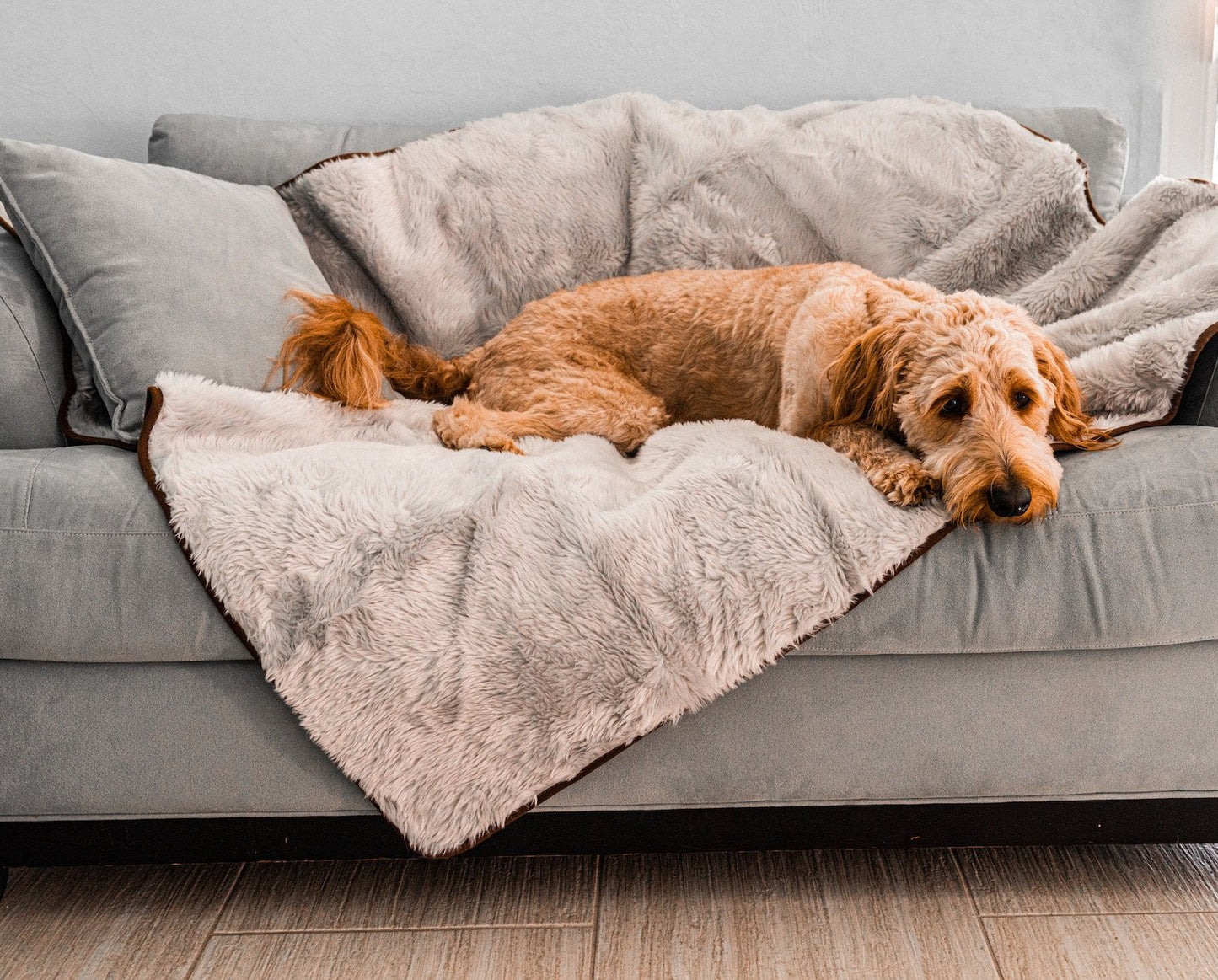 Waterproof Pet Blanket Soft Throw Grey Washable Cover Premiu - gallery image 6
