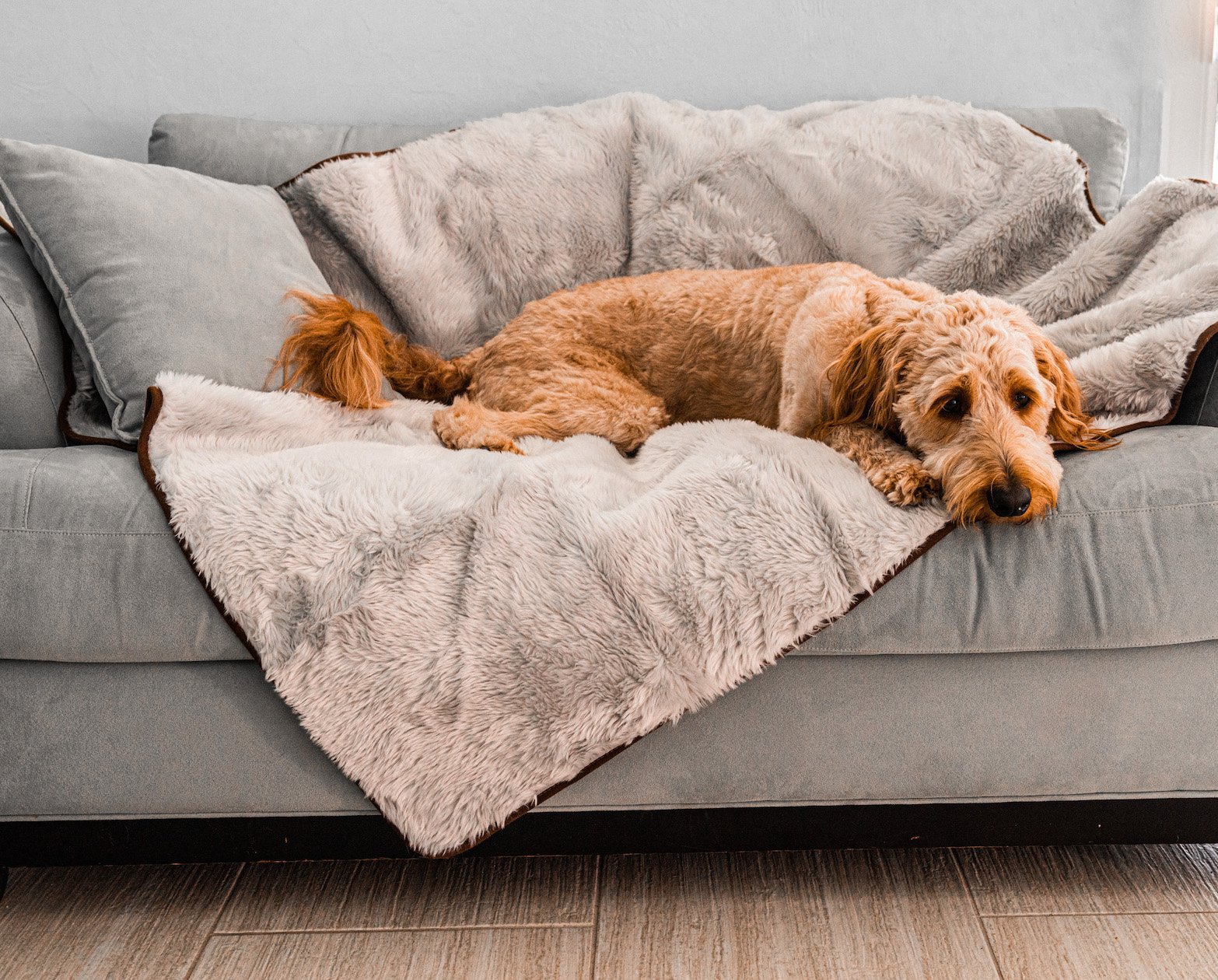 Waterproof Pet Blanket Soft Throw Grey Washable Cover Premiu - gallery image 6