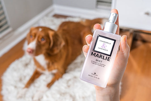 Marlie Mist Pet Odor Eliminator Spray with Essential Oils - main product image