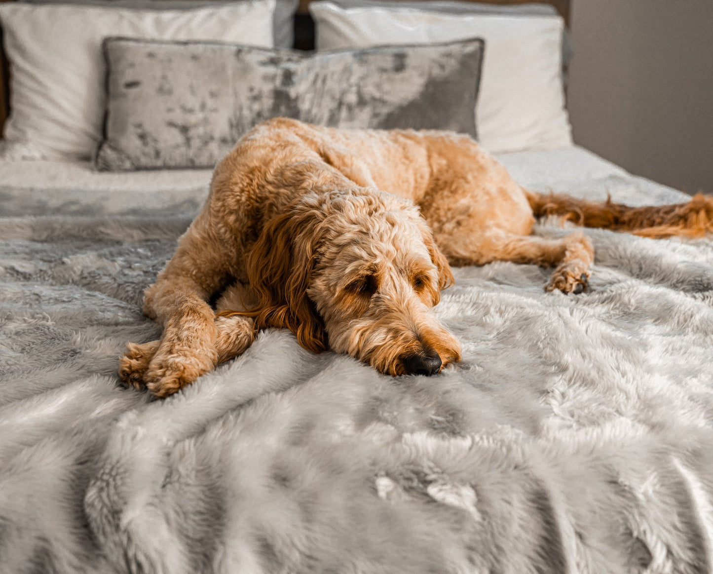 Waterproof Pet Blanket Soft Throw Grey Washable Cover Premiu - gallery image 12