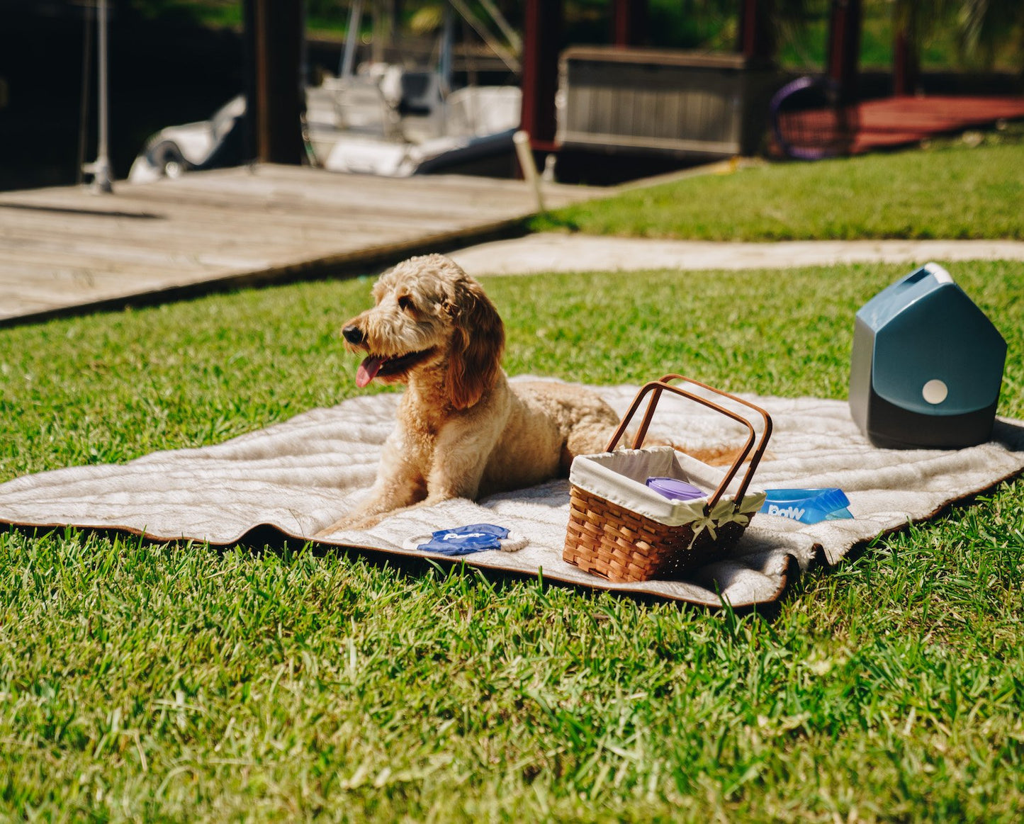 Pupprotector Summer Short Fur Waterproof Throw Blanket With - gallery image 5