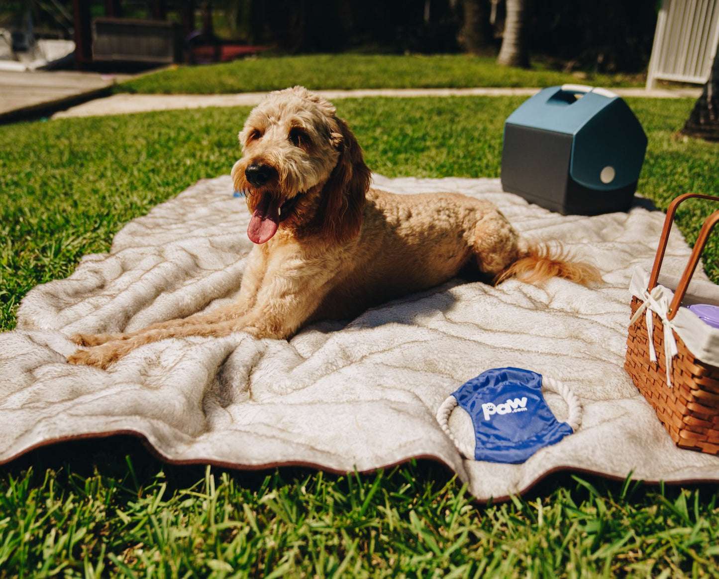 Pupprotector Summer Short Fur Waterproof Throw Blanket With - gallery image 9