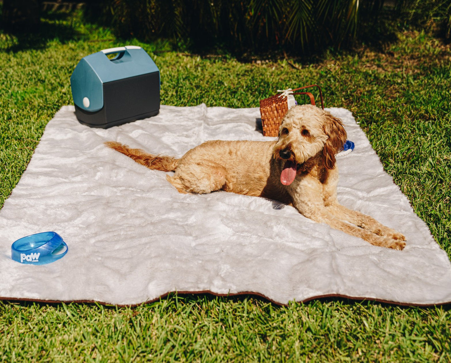 Waterproof Pet Blanket Soft Throw Grey Washable Cover Premiu - close up view
