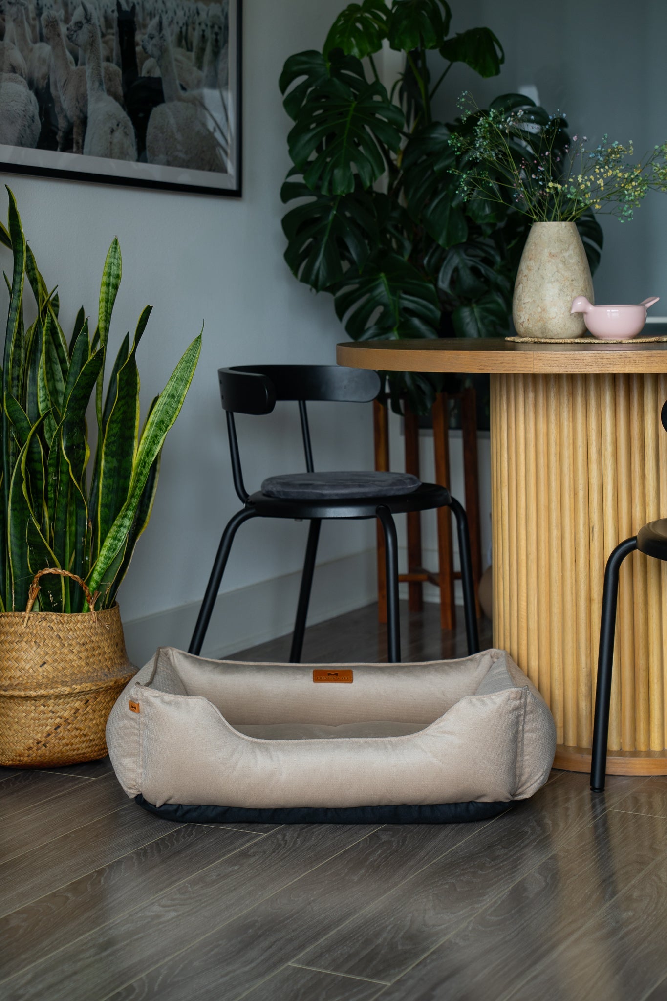 Classic Beige Velvet Sleeper for Everyday Comfort and Style main product image for dogs and cats