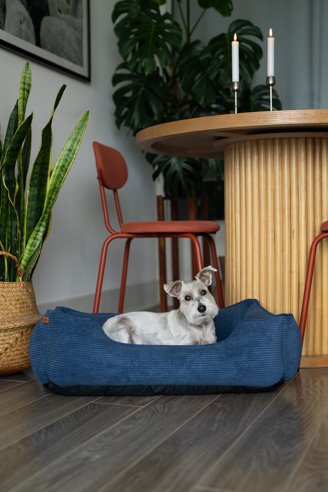 Luxury Dog Bed Fancy Corduroy Sleeper for Comfort, Support & - luxury dog bed view 5 for comfort and support