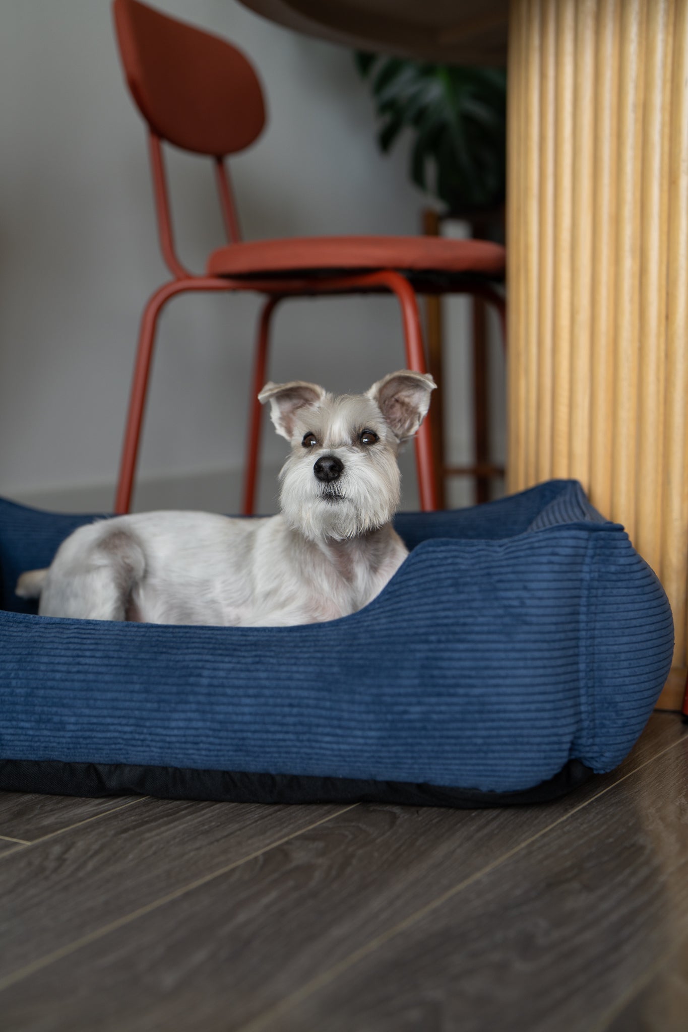 Luxury Dog Bed Fancy Corduroy Sleeper for Comfort, Support & - luxury dog bed view 9 for comfort and support