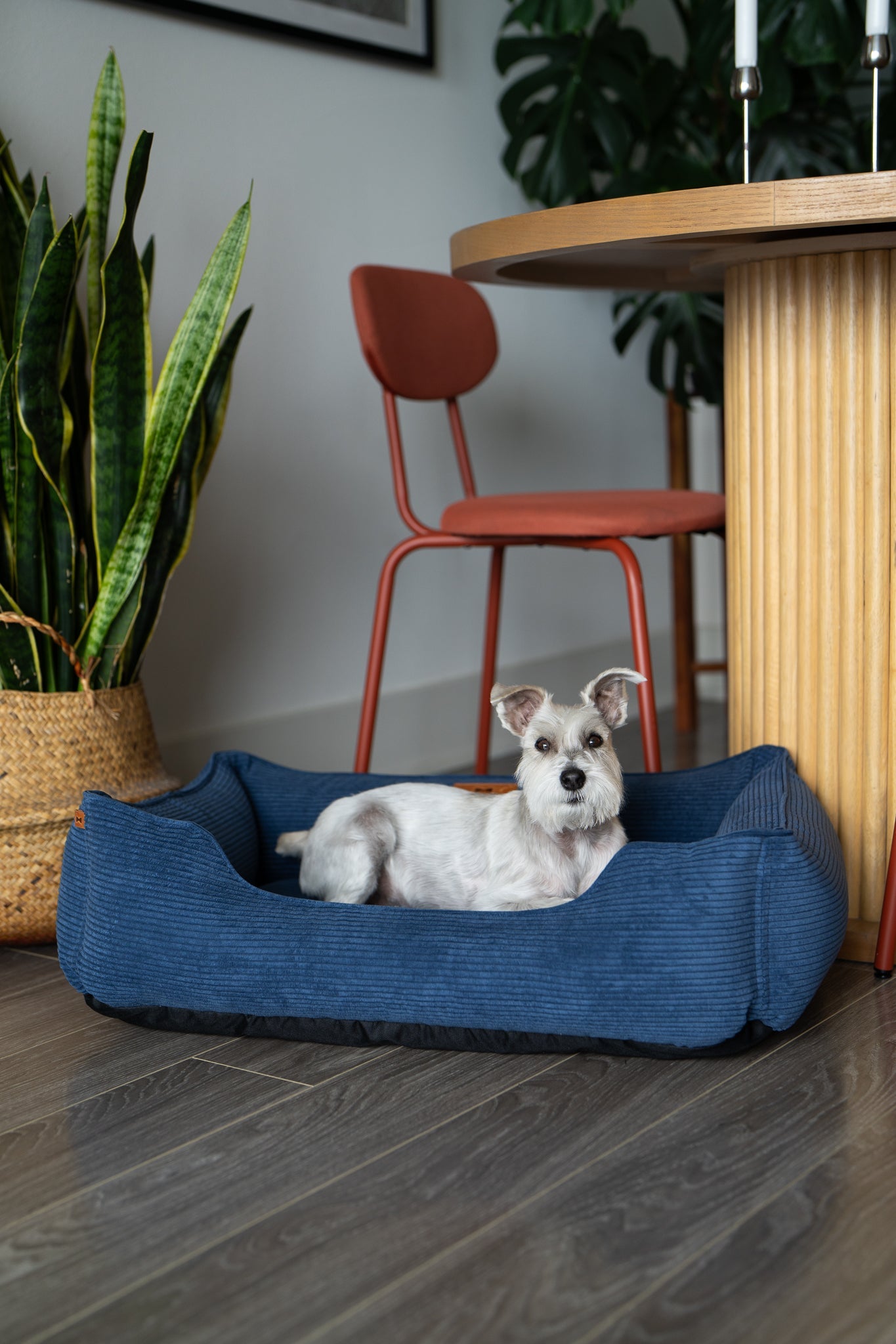 Luxury Dog Bed Fancy Corduroy Sleeper for Comfort, Support & - luxury dog bed view 10 for comfort and support