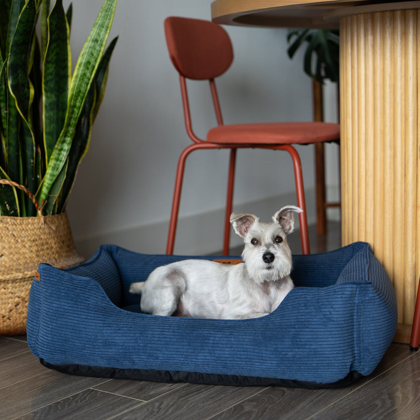 Luxury Dog Bed Fancy Corduroy Sleeper Blue for Comfort, Supp - luxury dog bed view 4 for comfort and support