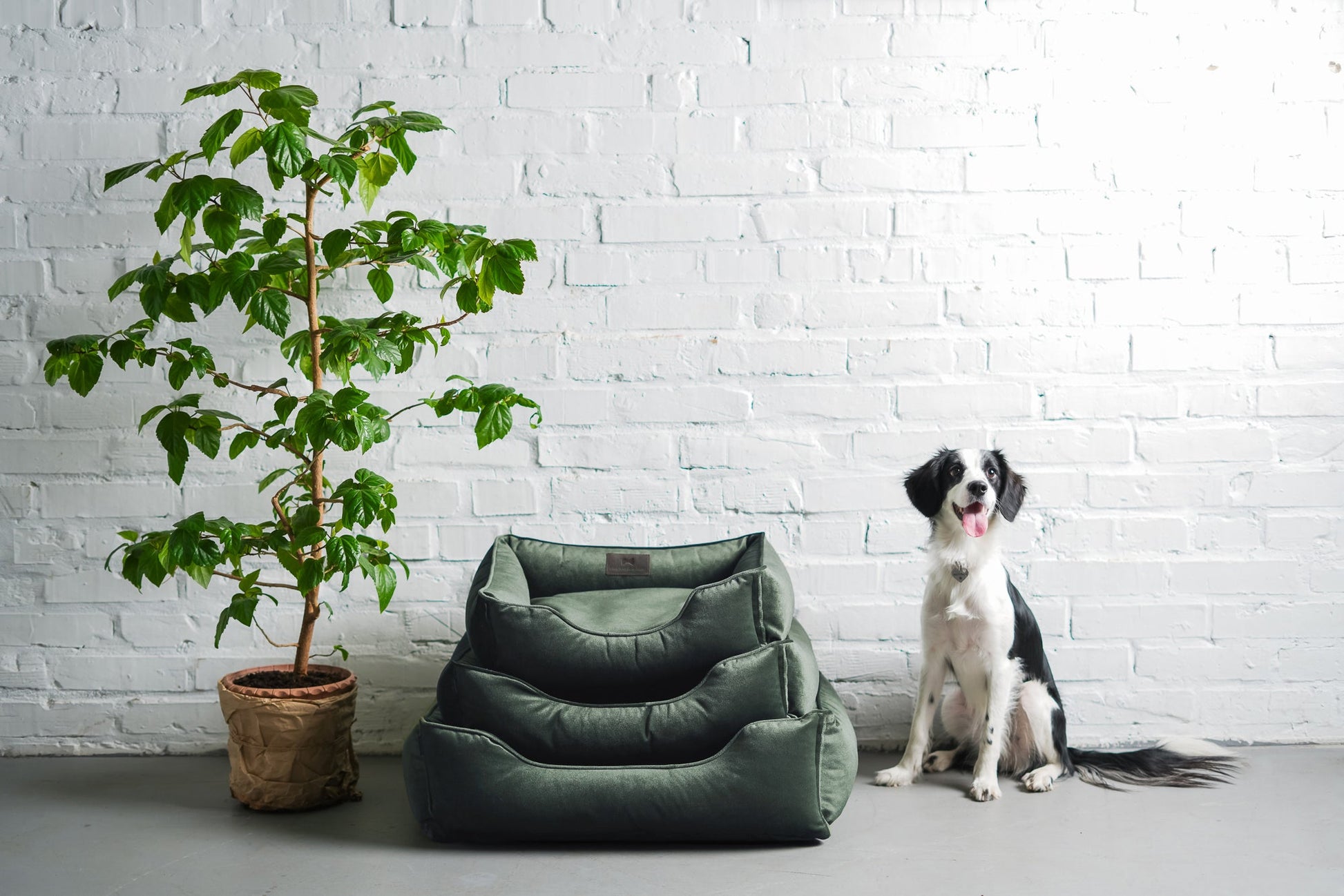 Luxury Dog Bed Classic Velvet Sleeper Green for Comfort, Sup - luxury dog bed view 7 for comfort and support