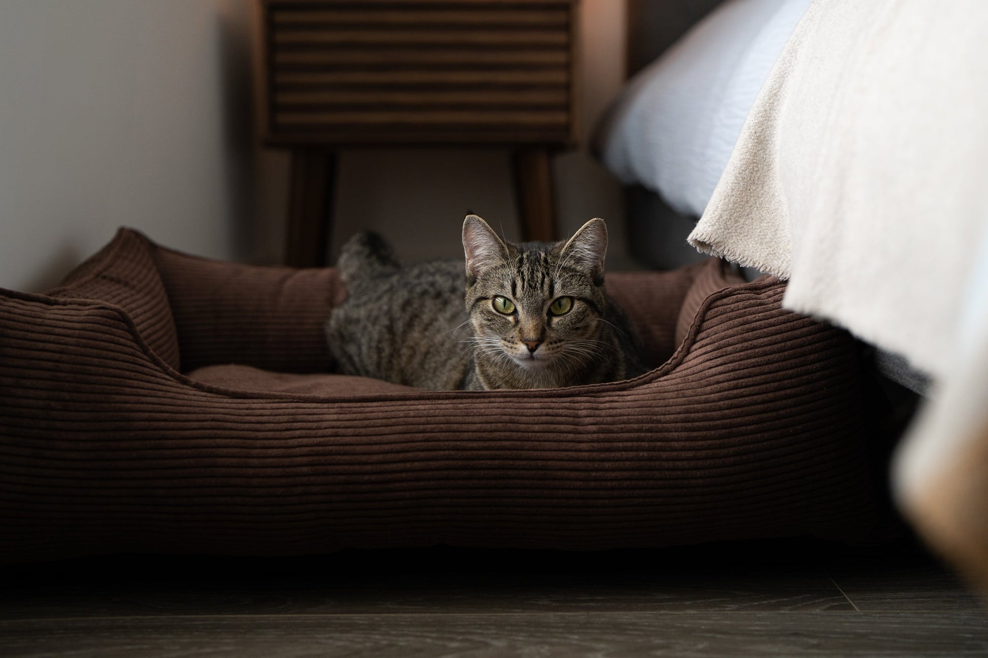 Luxury Dog Bed Fancy Corduroy Sleeper Brown for Comfort, Sup - luxury dog bed view 6 for comfort and support
