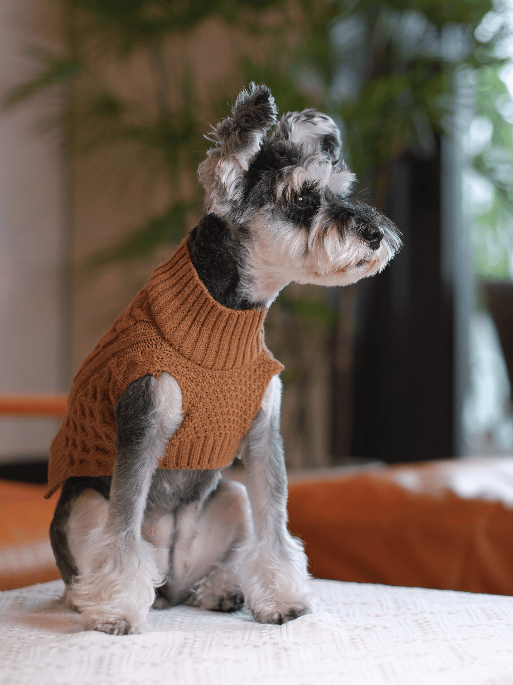 Pet Sweater Vest Toffee Orange Dog Sweaters Premium Pet - detail view