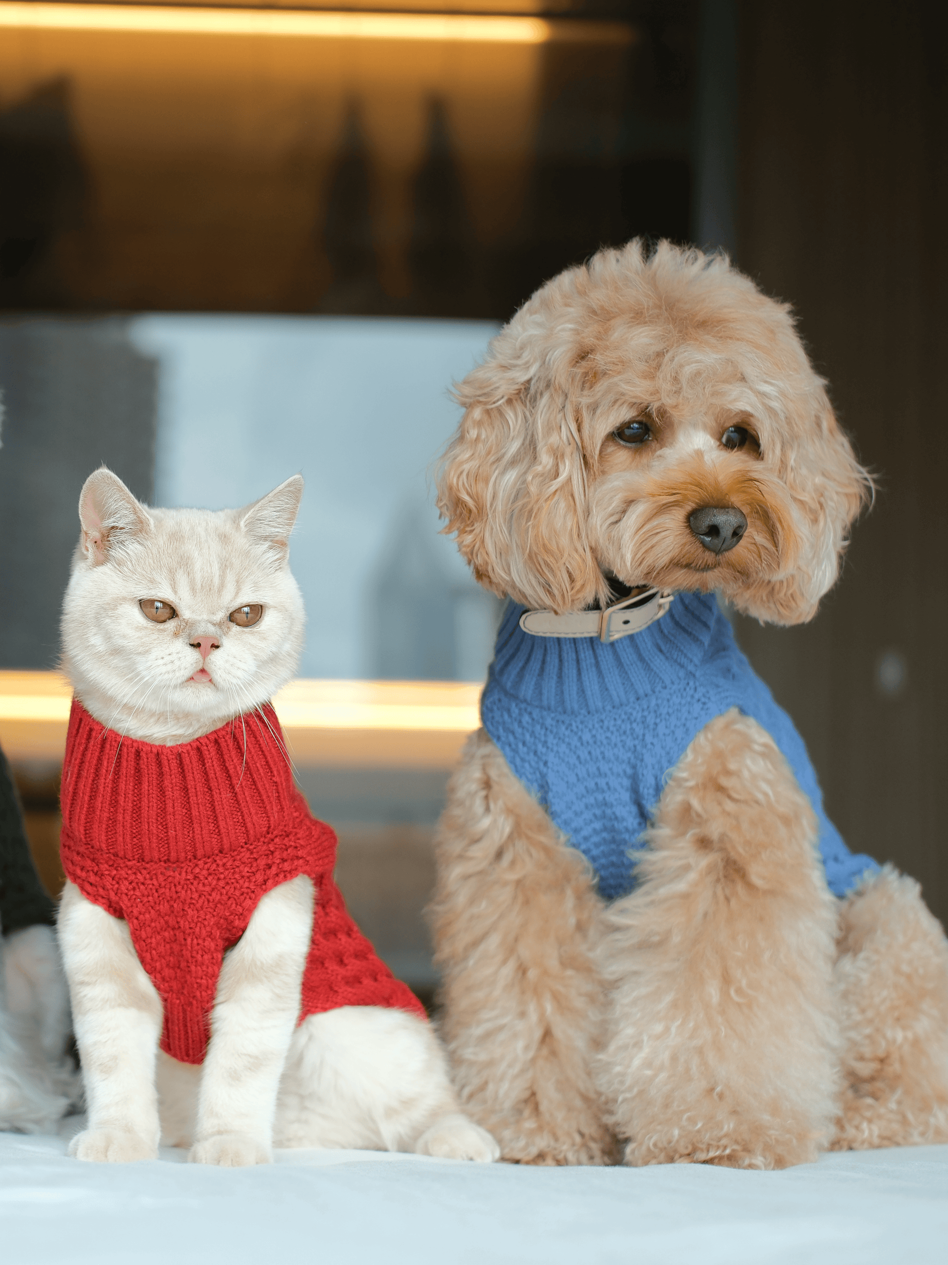 Dog Sweaters Adjustable Blue Premium Pet Supply Premium Pet - gallery image 6