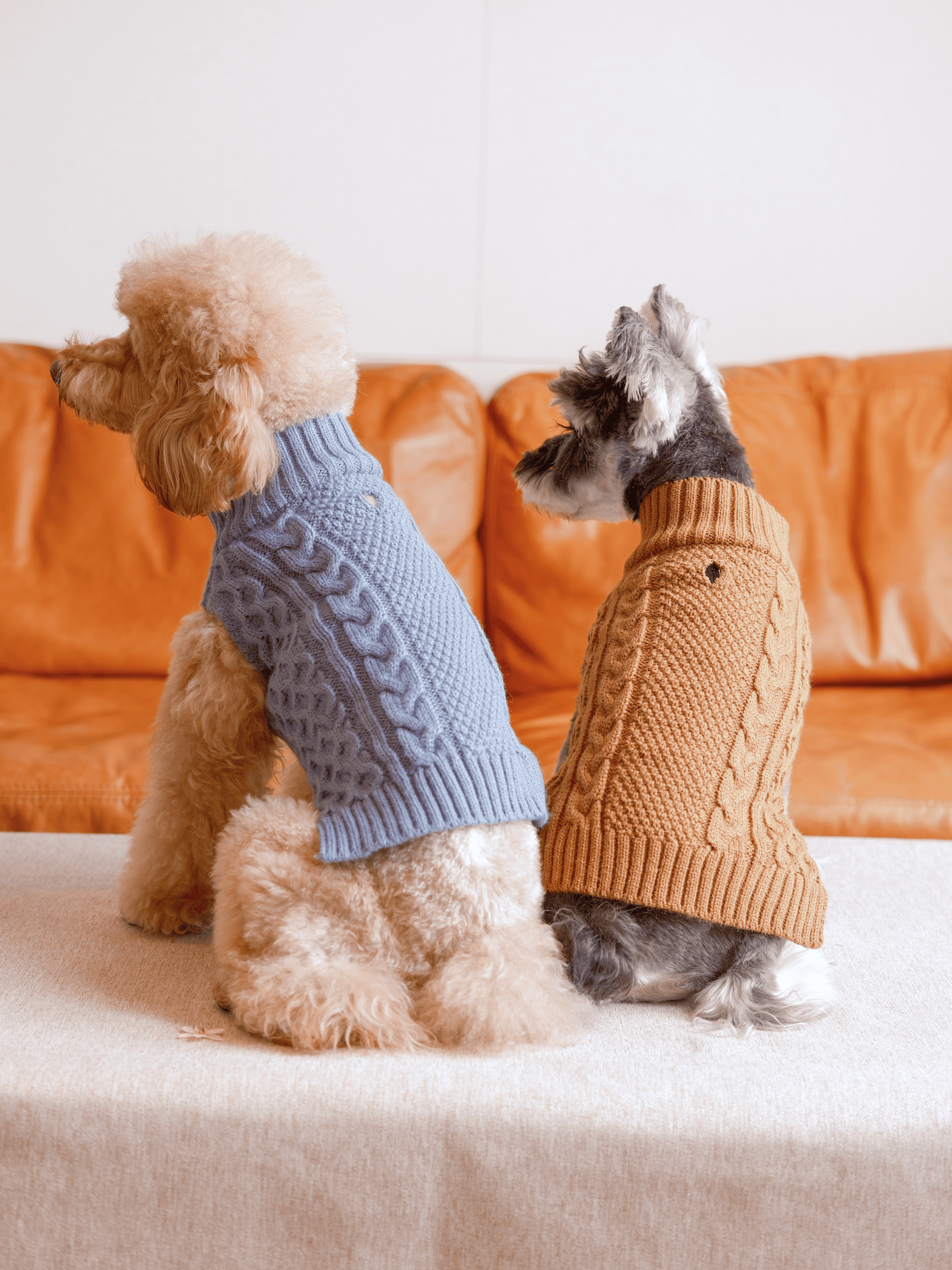 Pet Sweater Vest Toffee Orange Dog Sweaters Premium Pet - gallery image 8