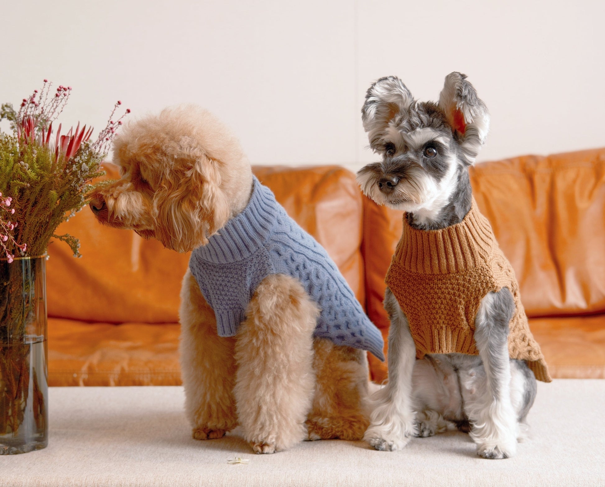 Pet Sweater Vest Toffee Orange Dog Sweaters Premium Pet - gallery image 7