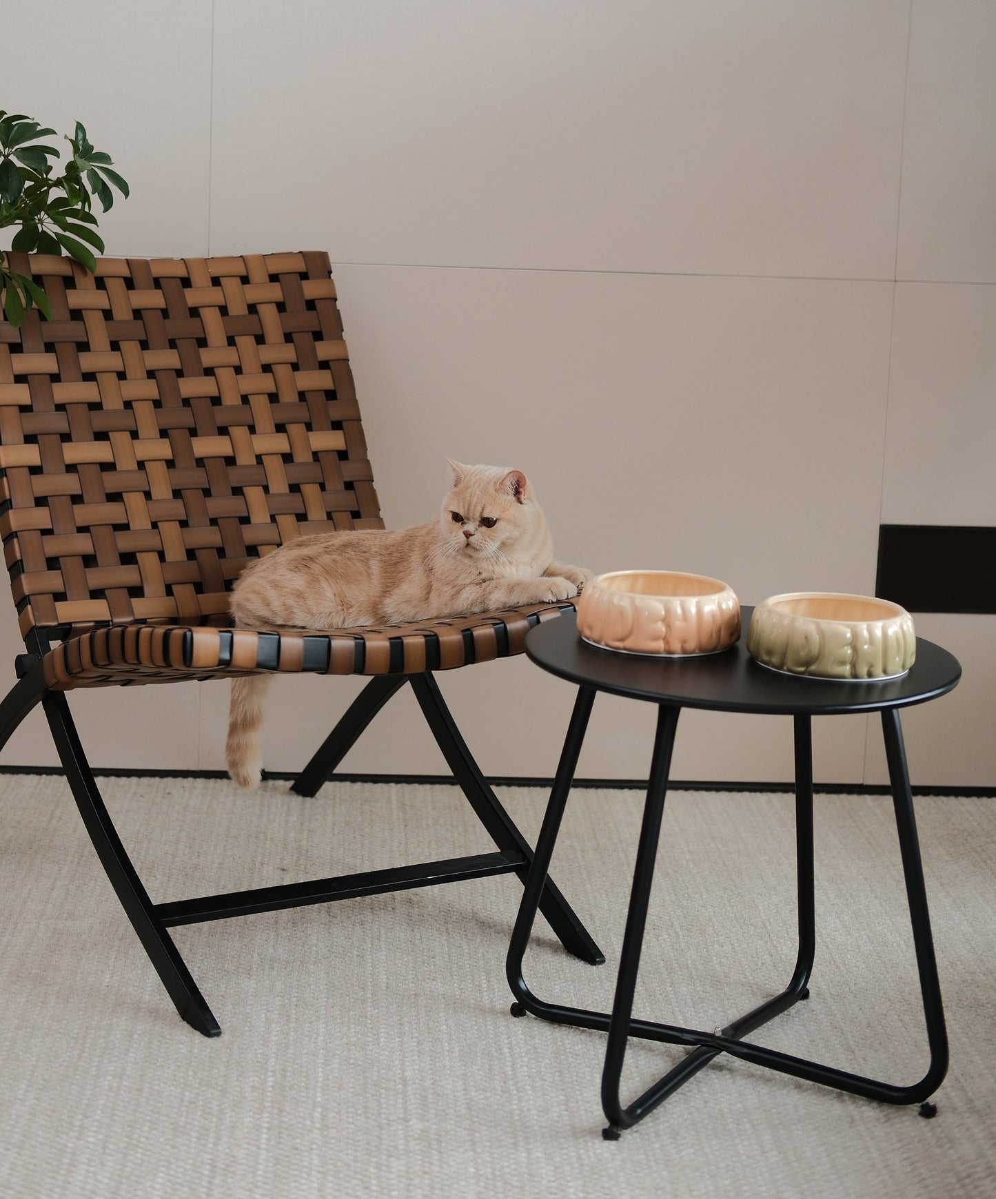 Puff Pet Bowl Gradient Caramel Pet Feeding Hydration Supply - gallery image 7