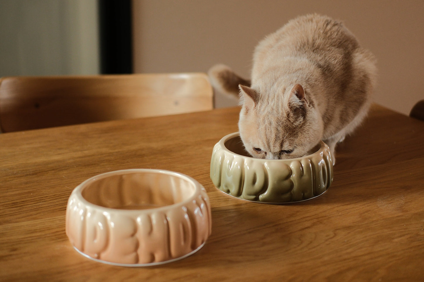 Puff Pet Bowl Gradient Caramel Pet Feeding Hydration Supply - gallery image 6