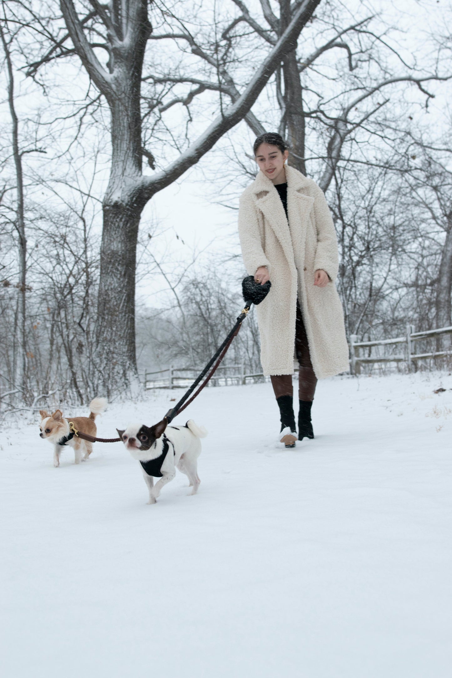 Dog Leash Bundle Shearling Fur Grip Rope Leash for Daily Use - gallery product image for dog leash
