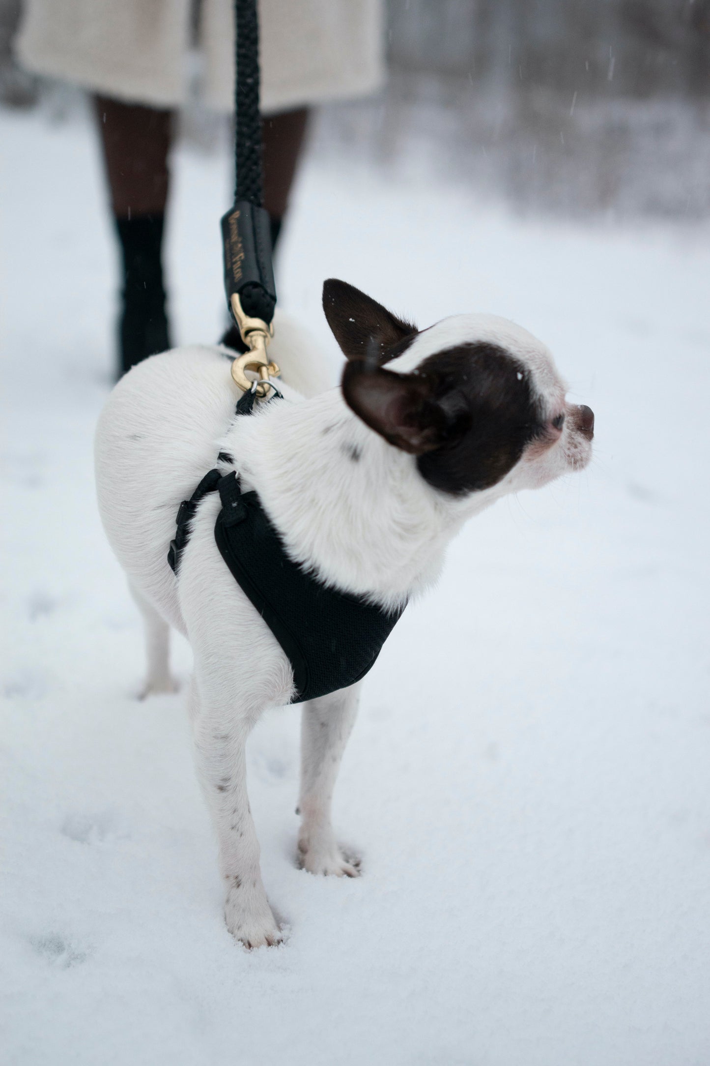 Dog Leash Bundle Shearling Fur Grip Rope Leash for Daily Use - gallery product image for dog leash