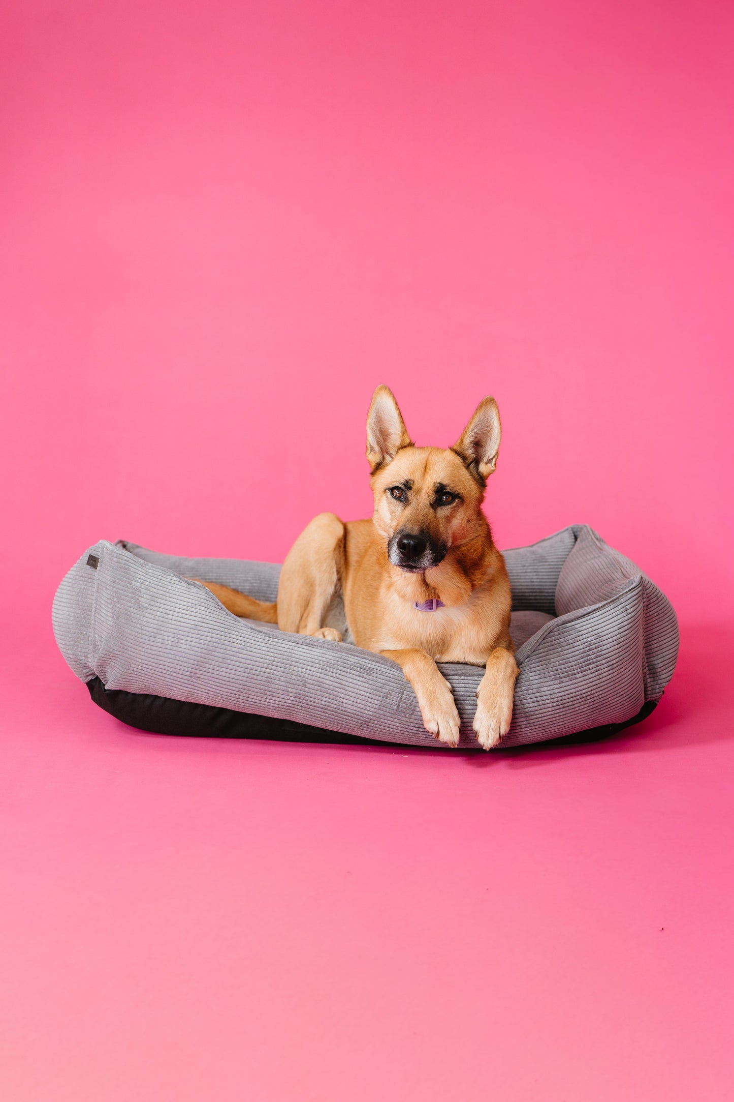 Gray Corduroy Bolster Sleeper for Comfort and Daily Rest main product image for dogs and cats