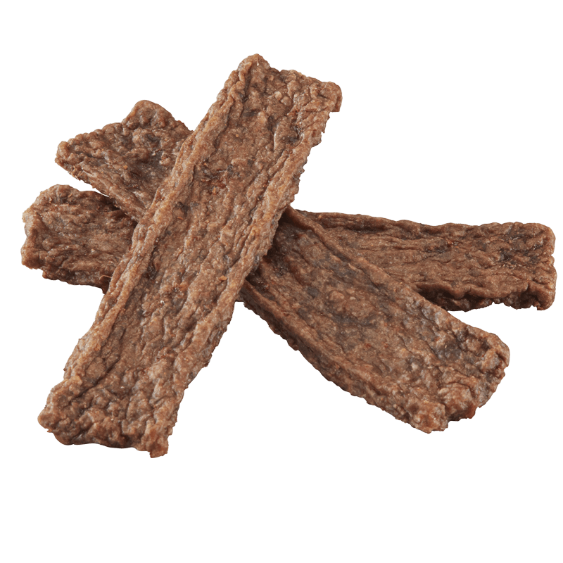 Dog Treats Premium Beef Chews 10oz Training Rewards Premium - lifestyle view