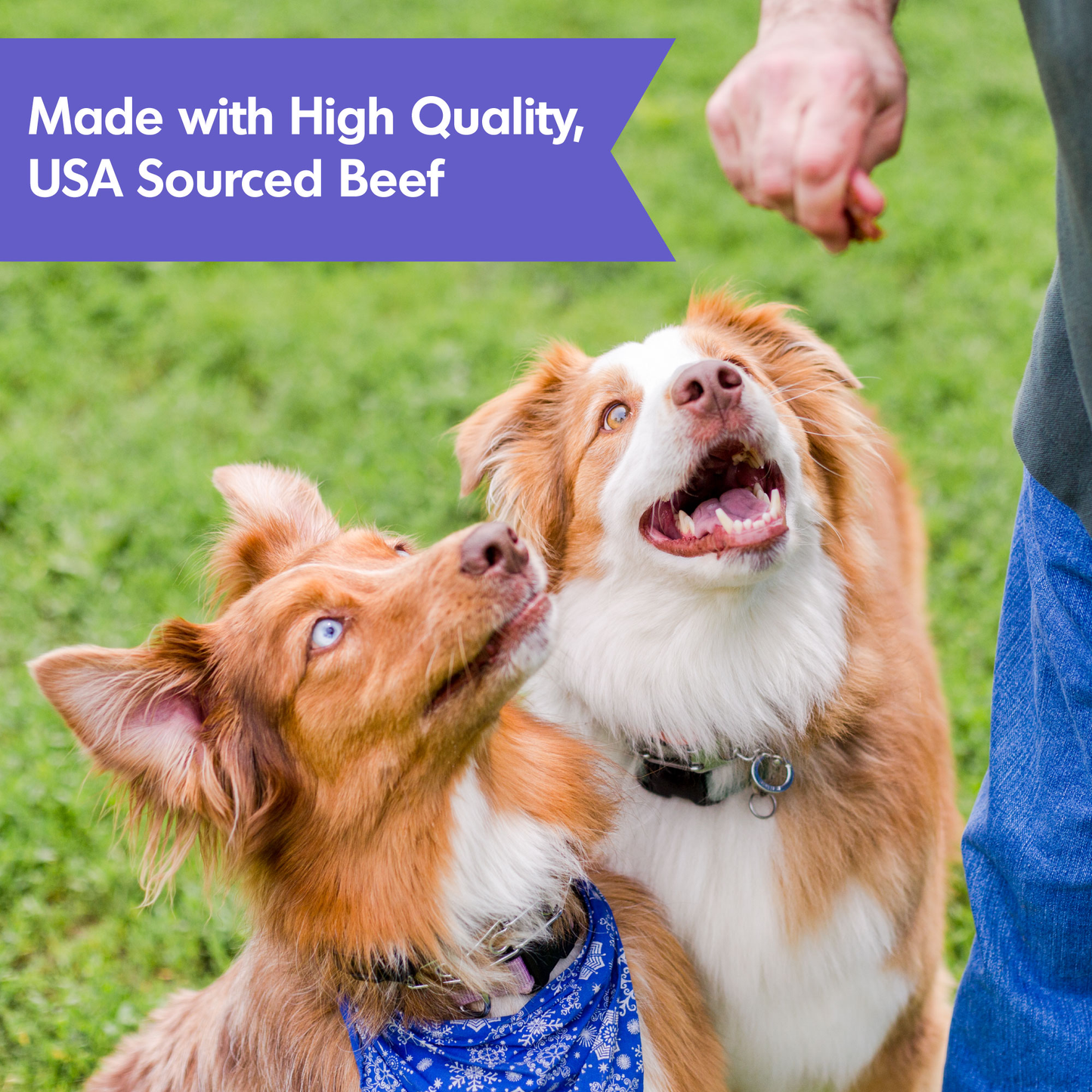 Dog Treats Premium Beef Chews 10oz Training Rewards Premium - close up view