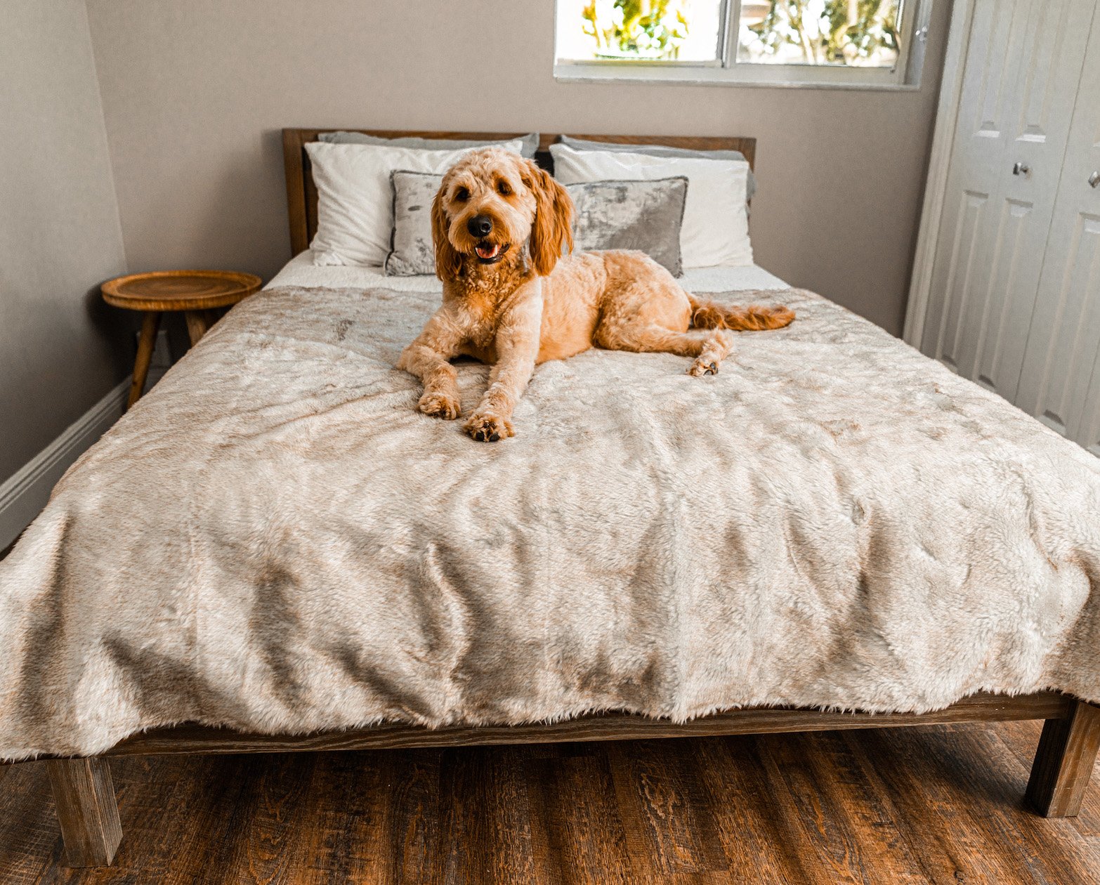Pupprotector Summer Short Fur Waterproof Throw Blanket With - gallery image 6