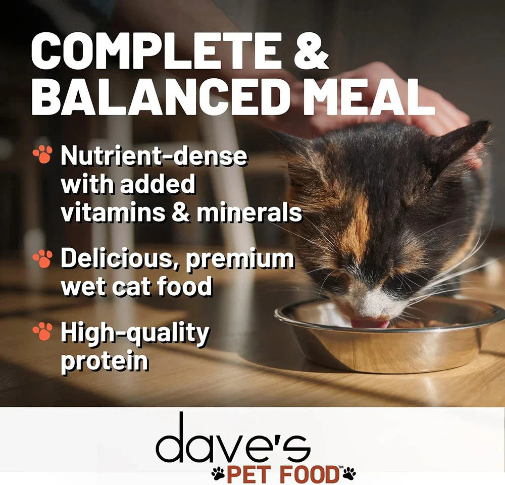 Wet Cat Food Premium Turkey Recipe 12.5oz Daily Meals Premiu - close up view