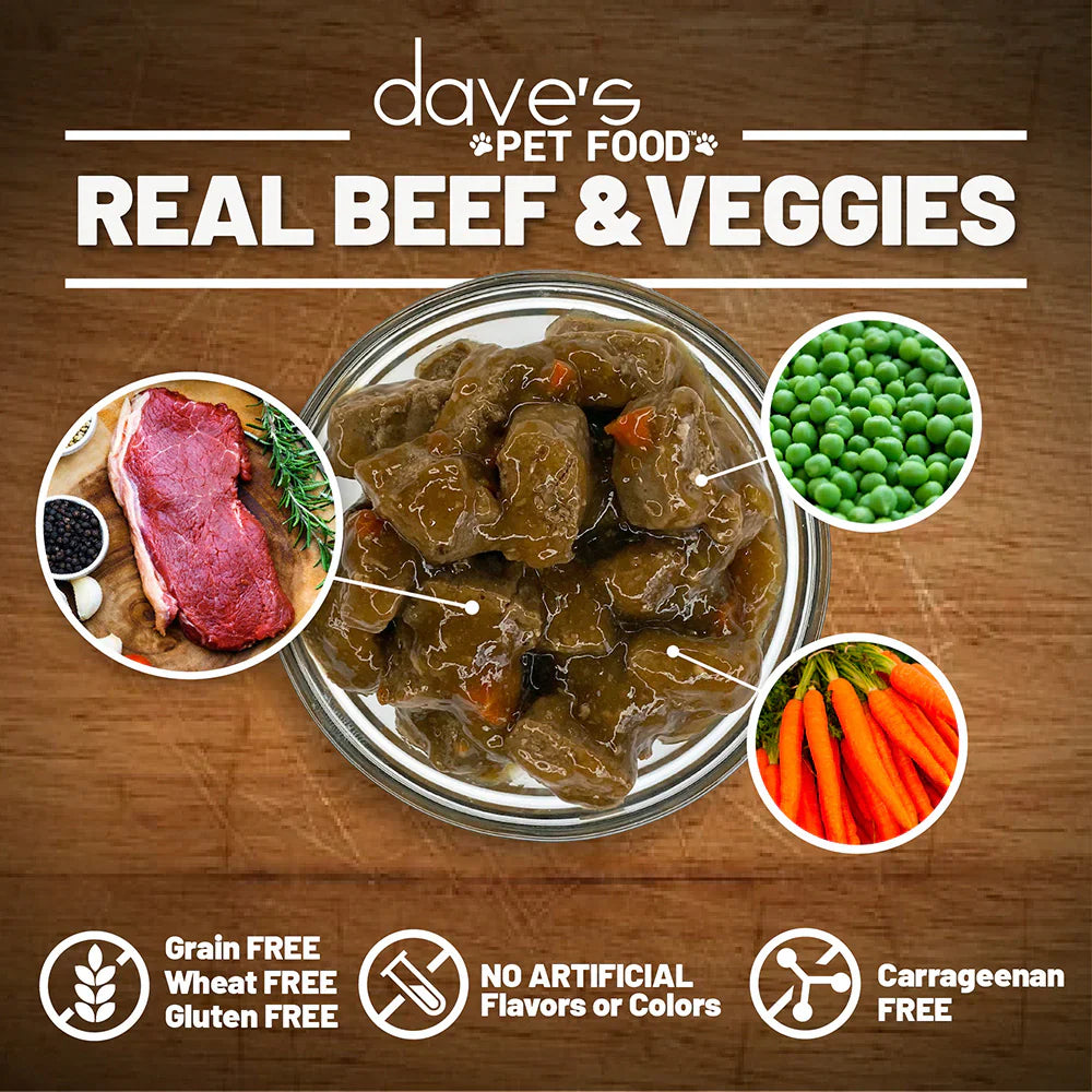 Dave's Stewlicious Beef & Vegetable Stew For Dogs (13.2oz) - lifestyle view