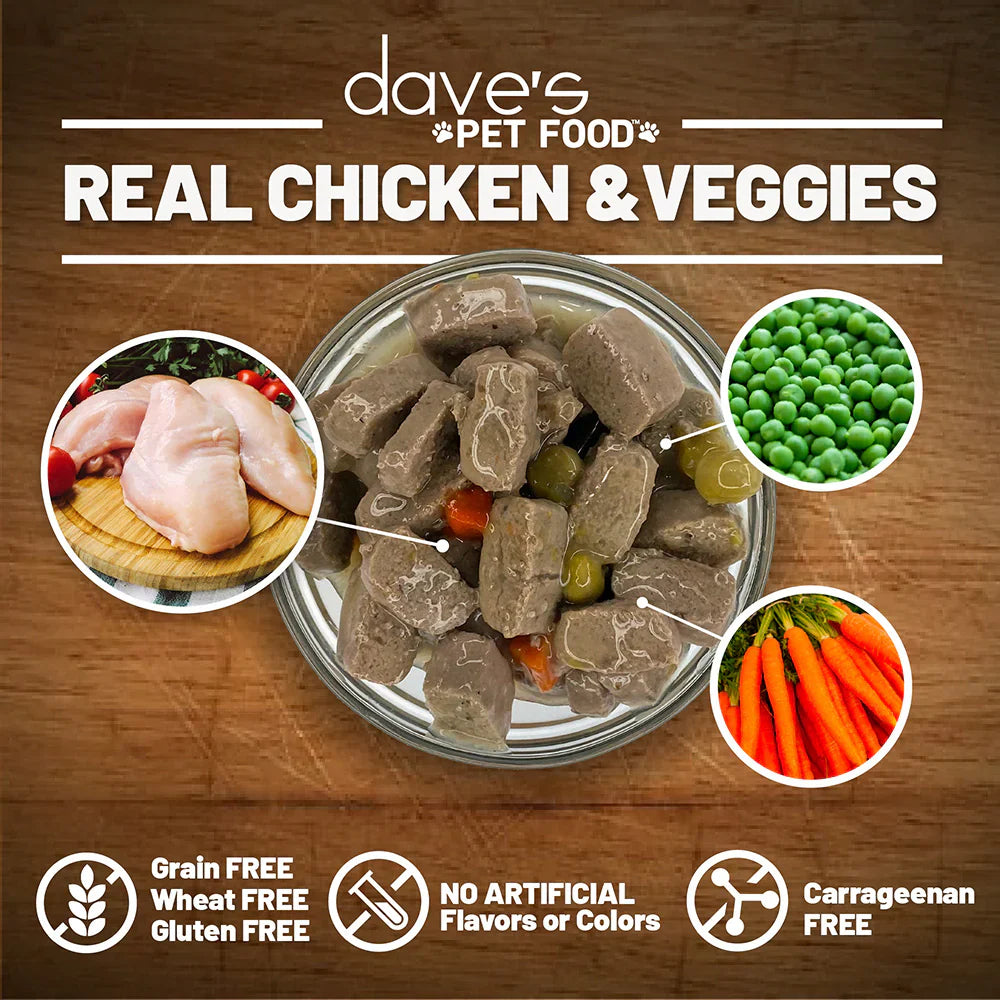 Daves Stewlicious Chicken Vegetable Stew For Dogs 13 2Oz Wet - lifestyle view