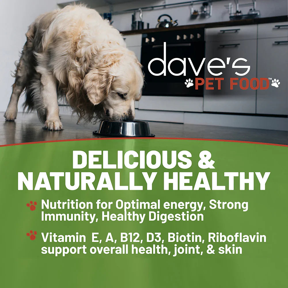Dave S Naturally Healthy Chicken Rice Recipe Wet Dog Food 13 - lifestyle view