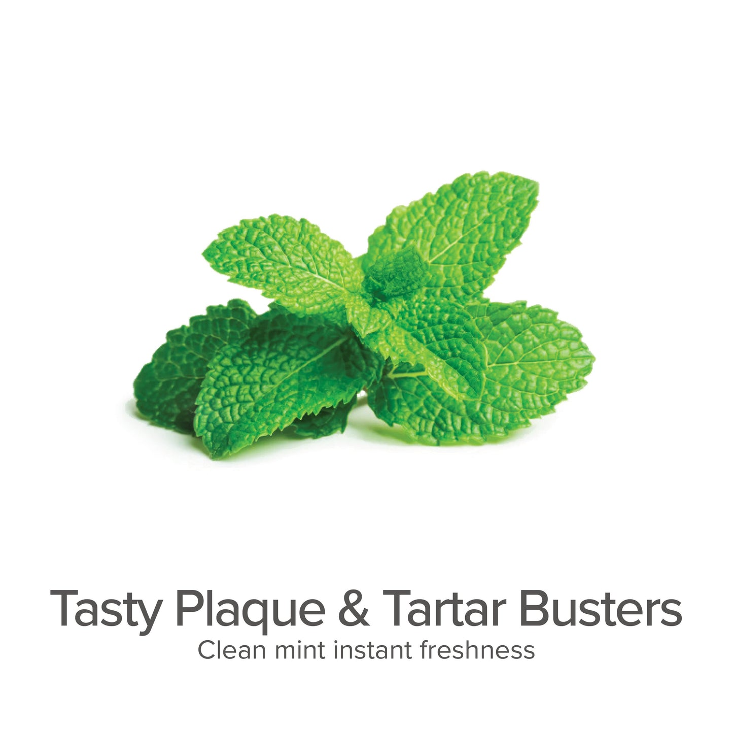 Plaque & Tartar Fighting Gel for Dogs (Clean Mint) - Organic Dental Solutions - close up view