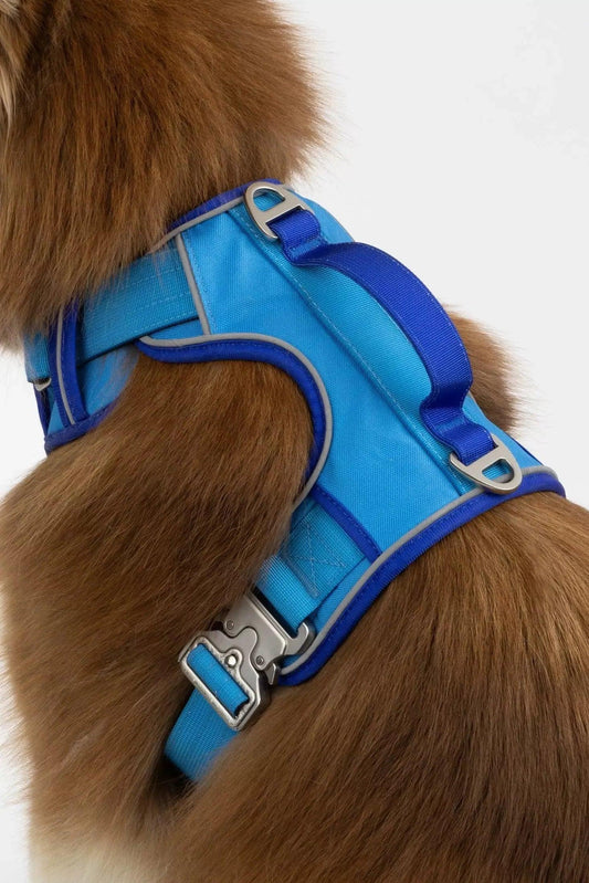 Dockside Adventures Ultimate Harness Adjustable Dog Walking - main product image