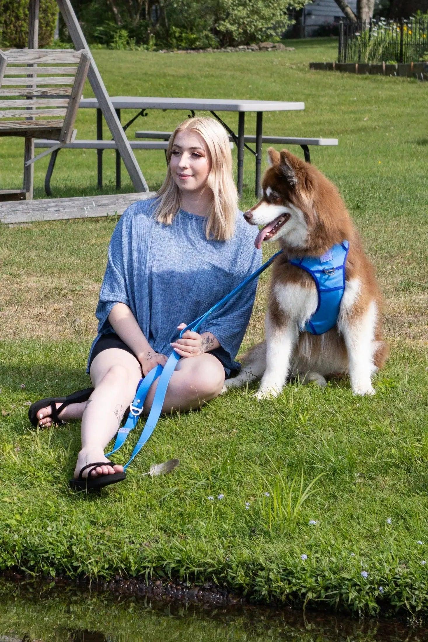 Dockside Adventures Ultimate Harness Adjustable Dog Walking - lifestyle view