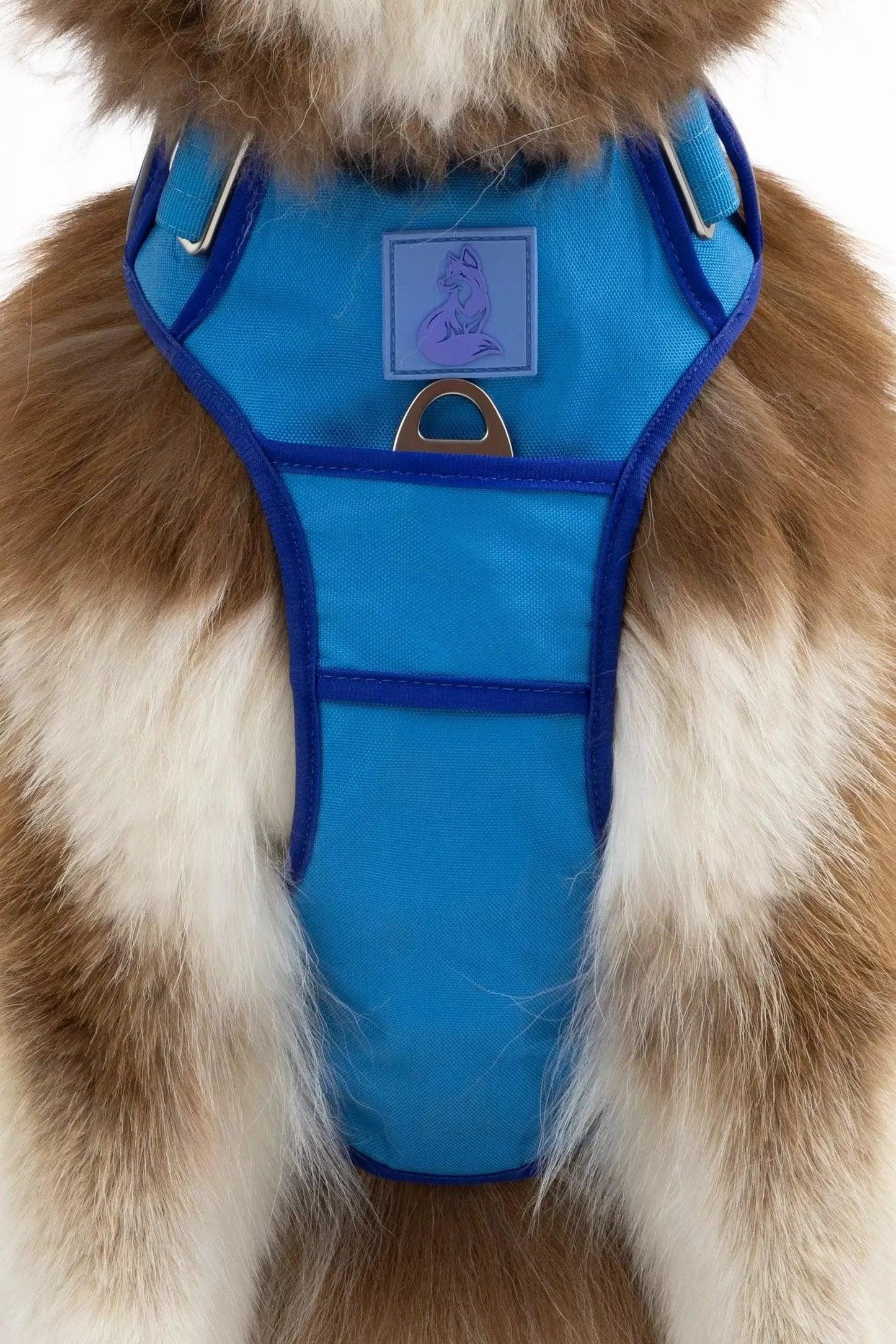 Dockside Adventures Ultimate Harness Adjustable Dog Walking - close up view