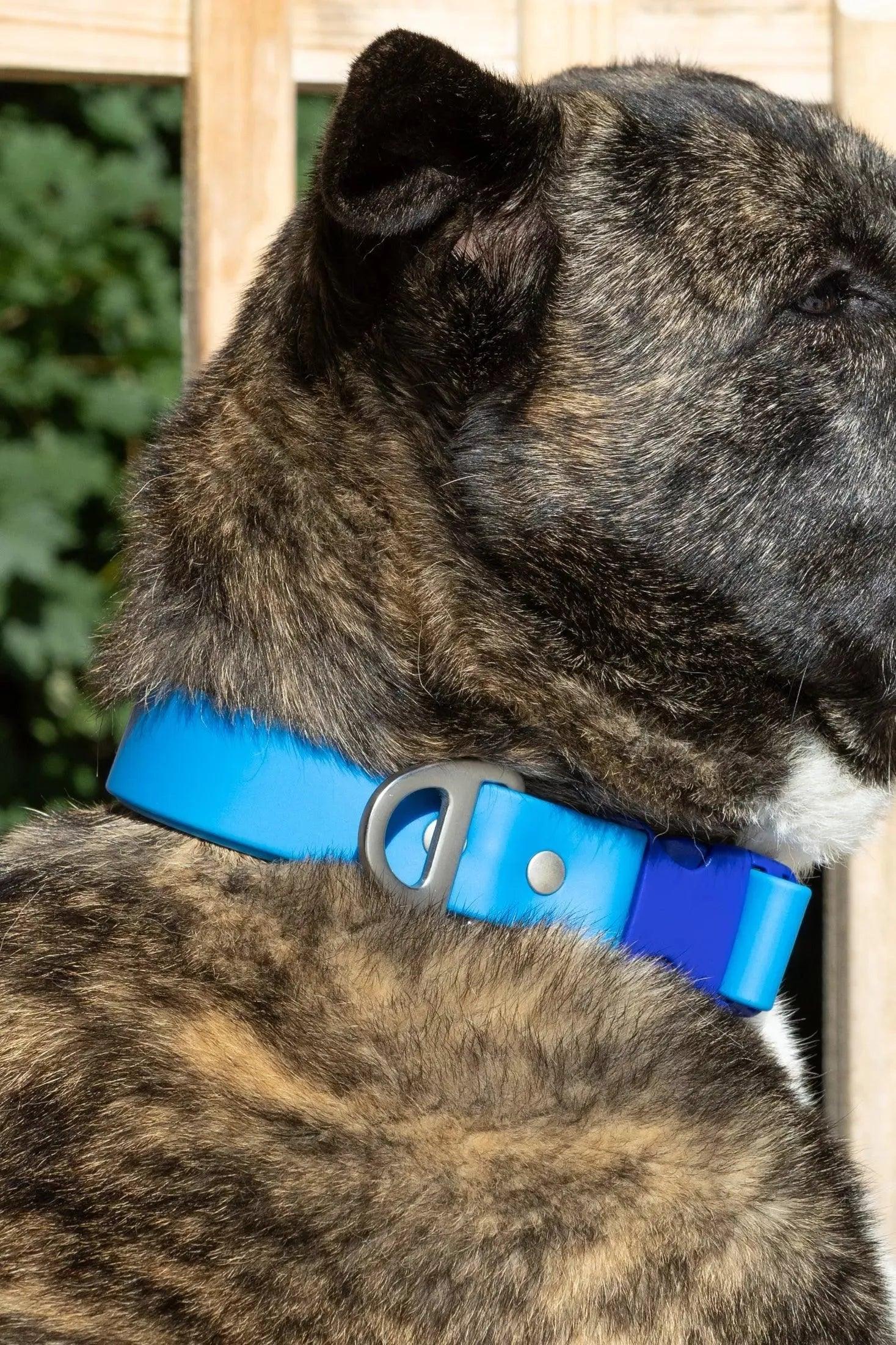 Dockside Adventures Waterproof Dog Collar Adjustable Dog - detail view