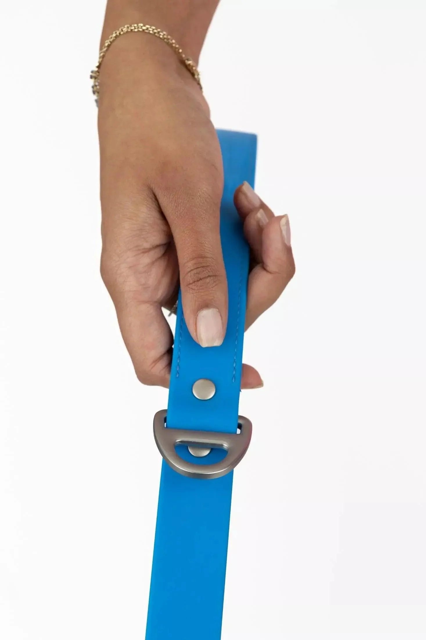 Dockside Adventures Waterproof Dog Leash Adjustable Dog Gear - lifestyle view
