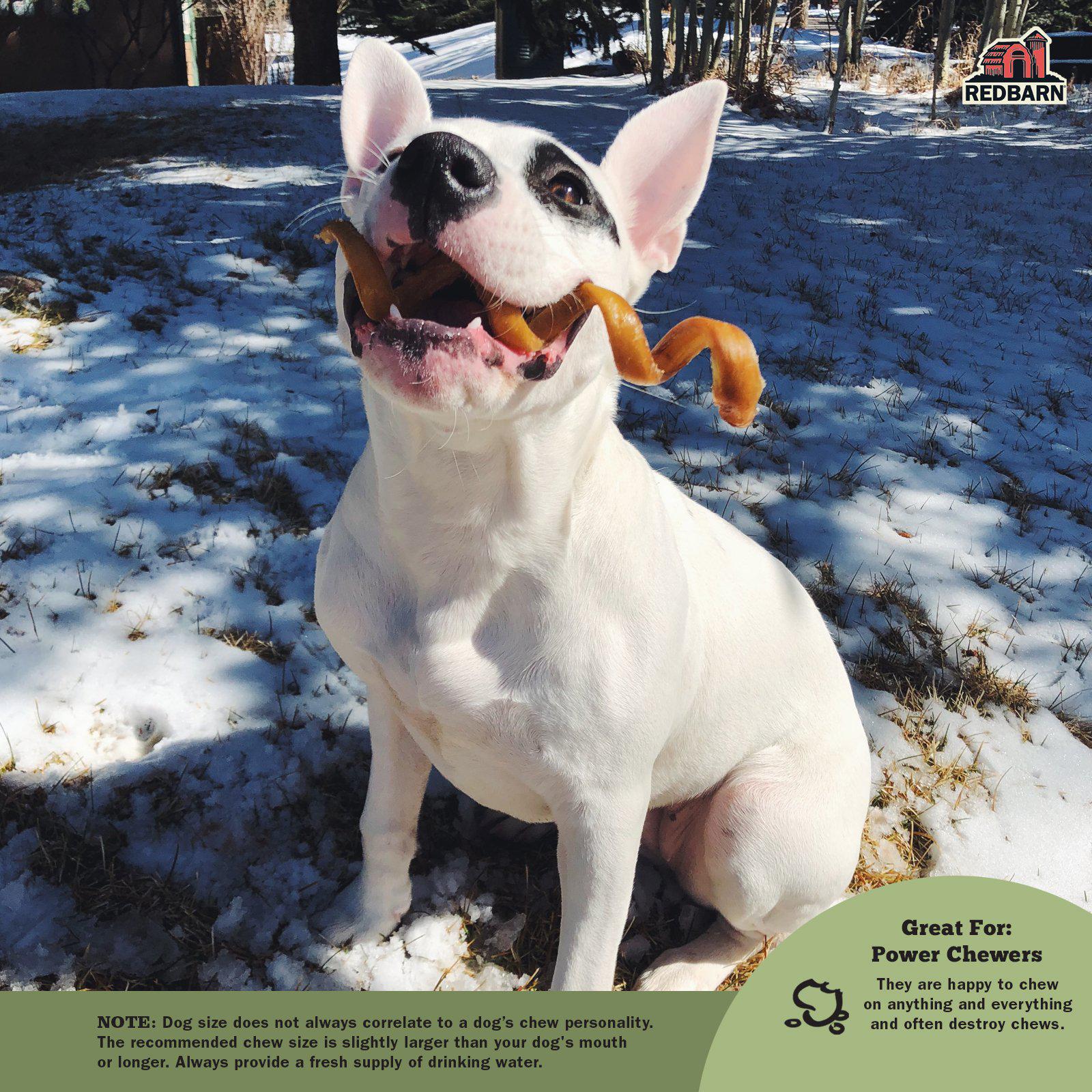 Dog Treats Premium Variety Chews 0.68oz Training Rewards - gallery image 9