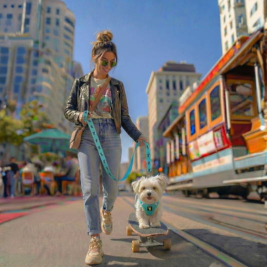 Dog Leash EcoBark Mint Turquoise Leash Comfort Grip Padded - detail product image for dog leash